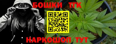 МДПВ Пушкино