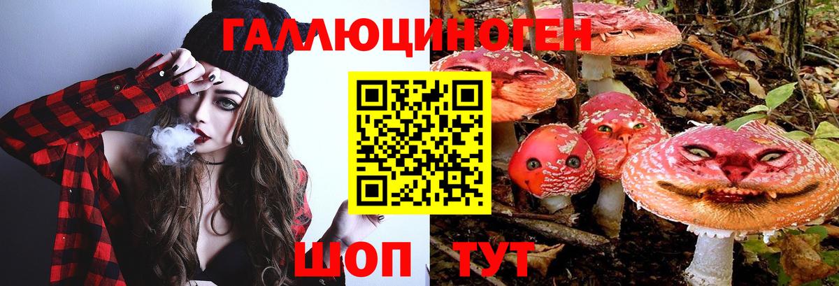 Галлюциногенные грибы GOLDEN TEACHER  Вход с VPN  Рузаевка 